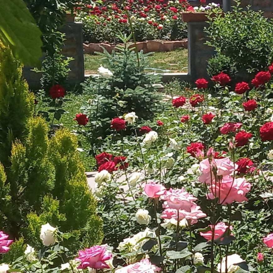 Guest House Hasmik Yeghegnadzor Bagian luar foto