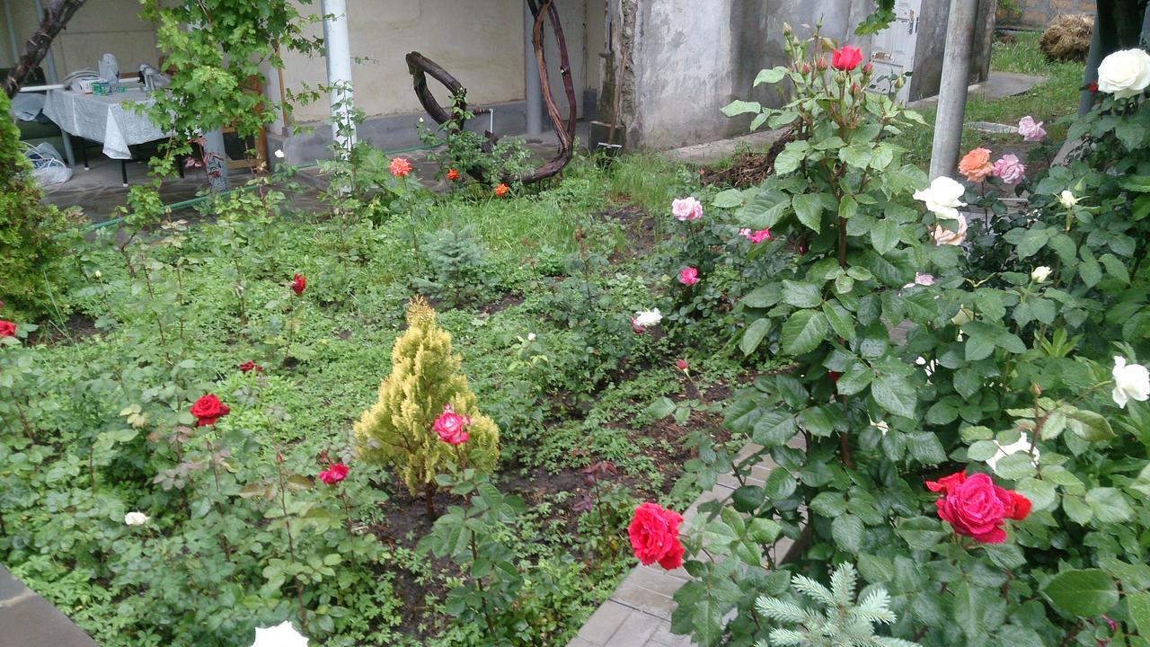 Guest House Hasmik Yeghegnadzor Bagian luar foto